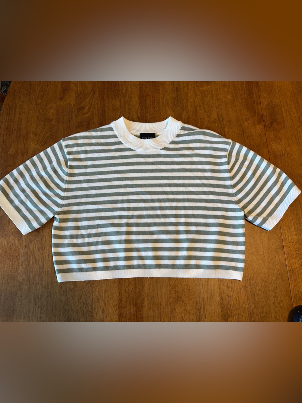 Striped Cropped Short Sleeve Knit Top - Sage Green & White